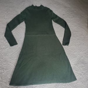 The Limited Sweater Dress A-Line